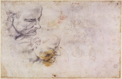 W.60 2つの位置にある男性の頭のスケッチ 作： Michelangelo Buonarroti